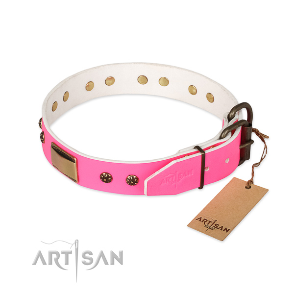 Rust-proof adornments on leather dog collar for your dog