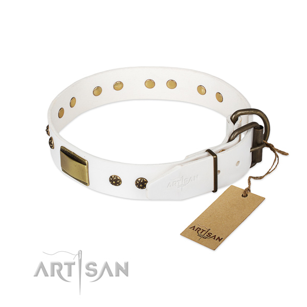 Leather dog collar with durable fittings and decorations