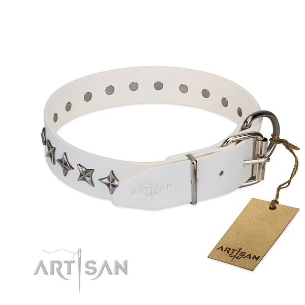 Easy wearing studded dog collar of top quality leather