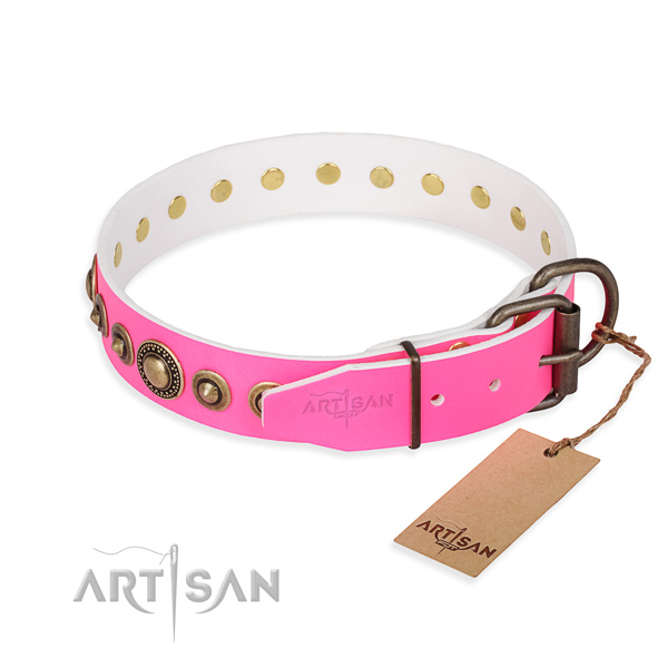 High quality full grain natural leather dog collar made for everyday walking