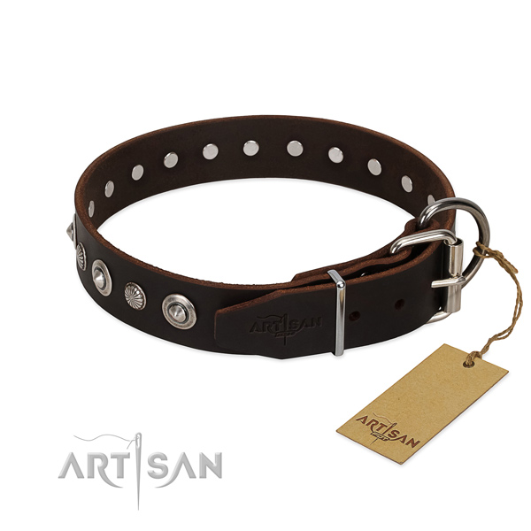 Quality leather dog collar with designer embellishments
