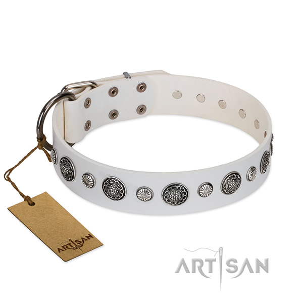 Strong full grain leather dog collar with rust resistant buckle