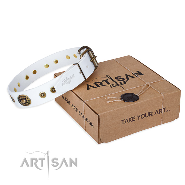 Full grain genuine leather dog collar made of gentle to touch material with corrosion proof hardware