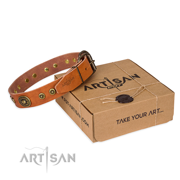 Full grain leather dog collar made of top notch material with reliable fittings