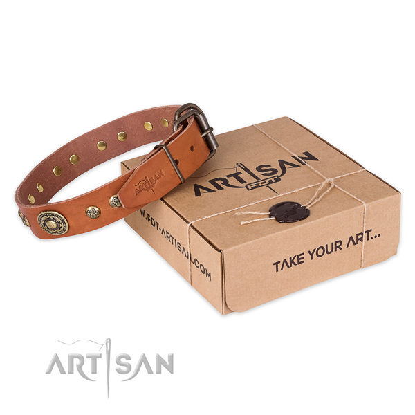 Rust-proof fittings on full grain genuine leather dog collar for walking