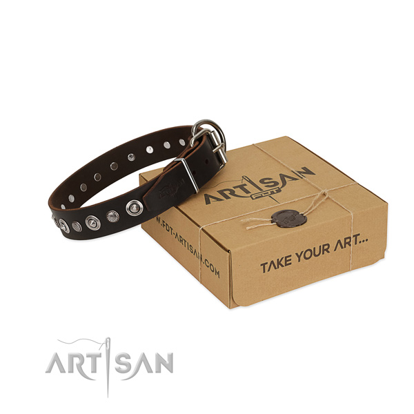 Top notch full grain genuine leather dog collar with stylish design adornments