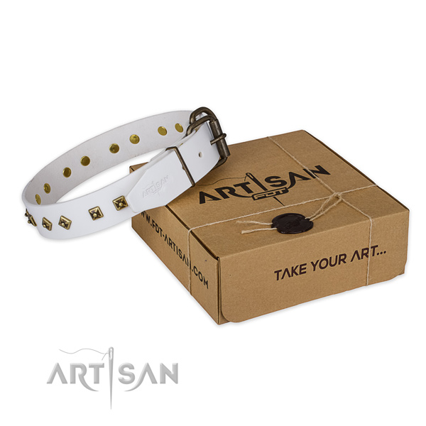 Corrosion proof hardware on leather dog collar for easy wearing