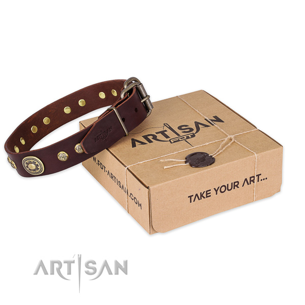 Corrosion resistant buckle on full grain natural leather dog collar for everyday walking