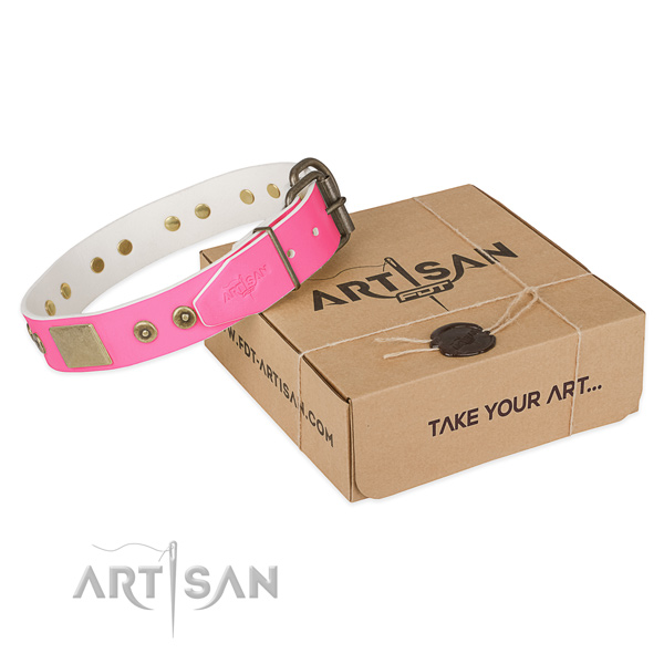Rust resistant traditional buckle on dog collar for comfy wearing