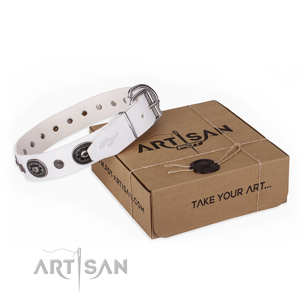 Soft to touch leather dog collar made for fancy walking