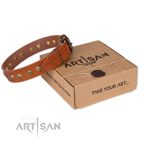 Reliable fittings on genuine leather collar for your handsome dog