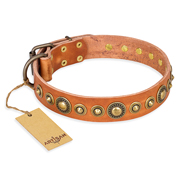 "Feast of Luxury" FDT Artisan Tan Leather German Shepherd Collar with Old Bronze Look Circles