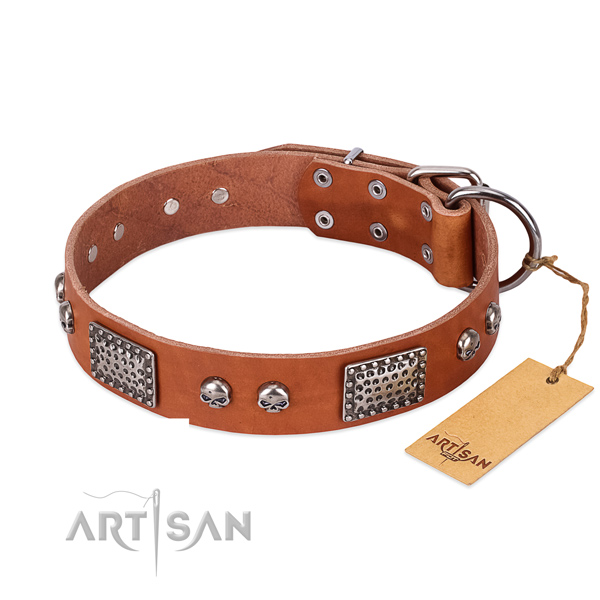 Adjustable full grain natural leather dog collar for basic training your canine