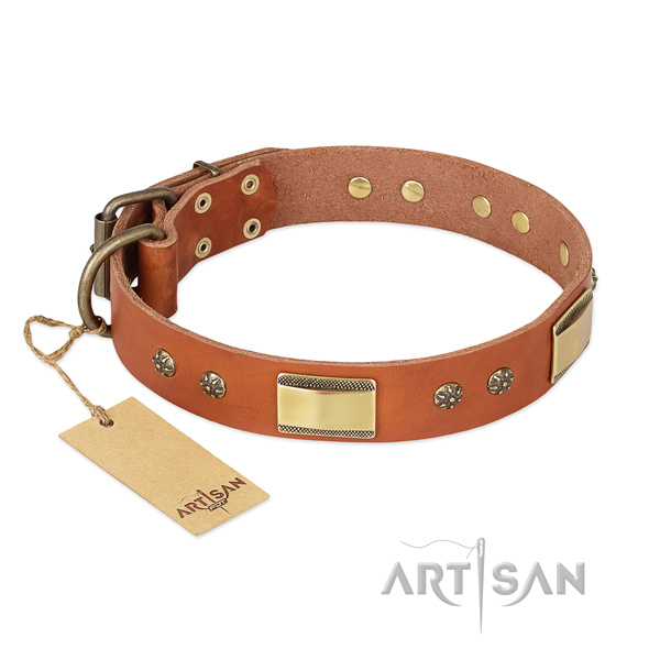 Perfect fit full grain leather collar for your doggie