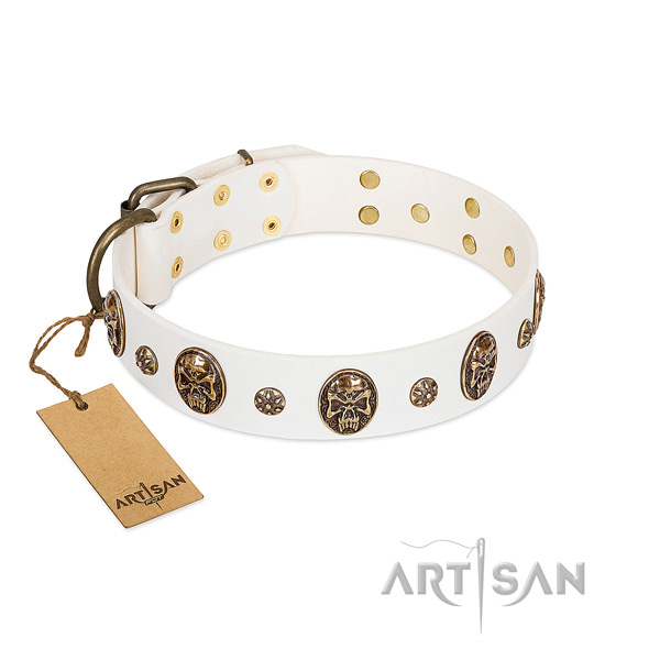 Adorned full grain leather collar for your four-legged friend