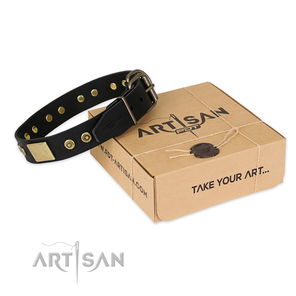 Reliable fittings on full grain genuine leather dog collar for daily walking