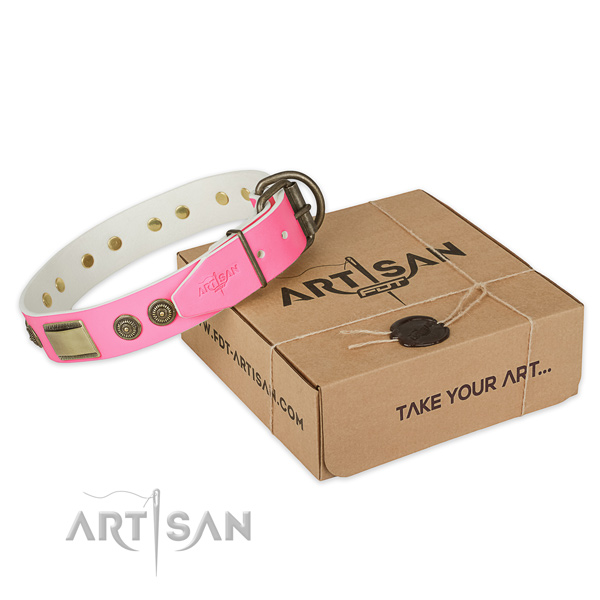 Durable D-ring on dog collar for handy use