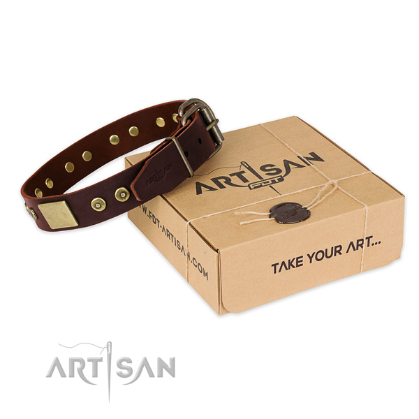 Durable D-ring on dog collar for handy use