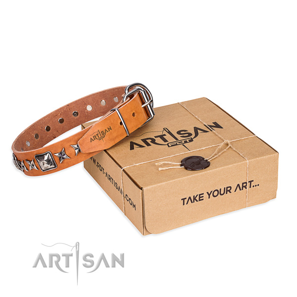 Walking full grain leather dog collar with adornments