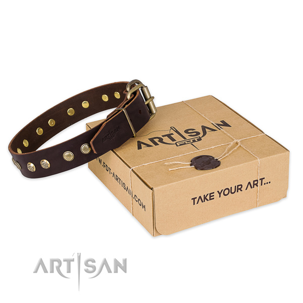 Strong buckle on full grain genuine leather collar for your beautiful four-legged friend