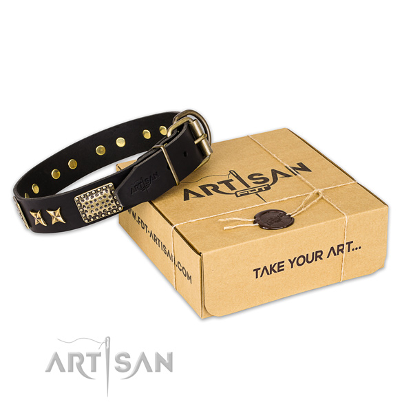 Corrosion proof hardware on full grain leather collar for your lovely four-legged friend