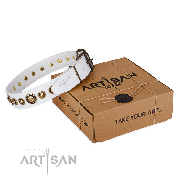 Quality full grain natural leather dog collar handmade for everyday walking