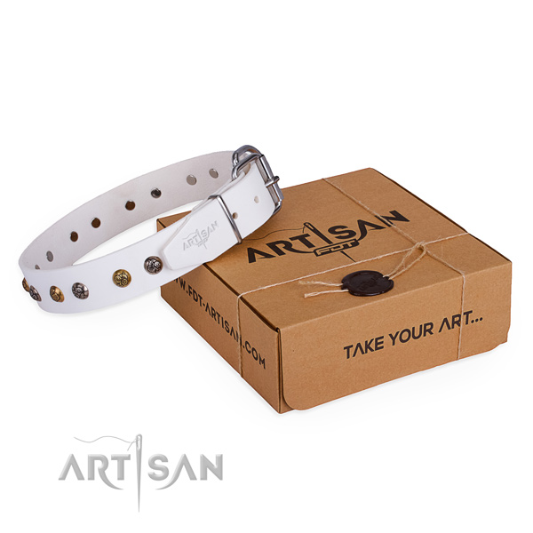 Comfy wearing dog collar with Trendy strong adornments