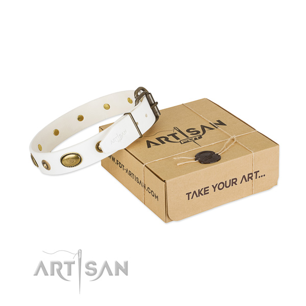 Comfortable full grain natural leather collar for your handsome dog