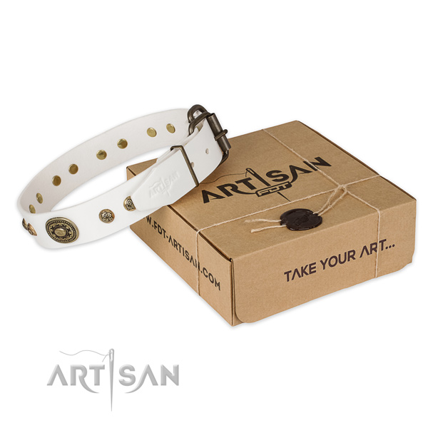Strong D-ring on full grain natural leather dog collar for basic training