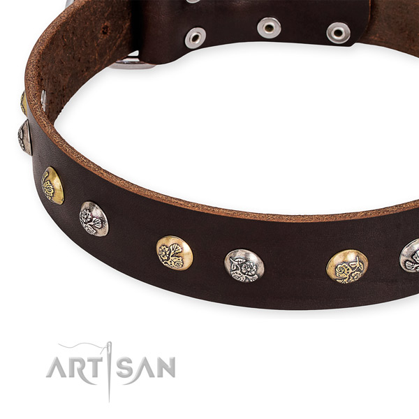 Leather dog collar with designer corrosion proof studs