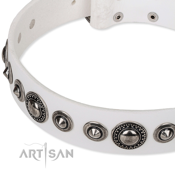 Daily use adorned dog collar of durable full grain natural leather