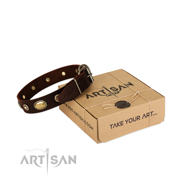 Corrosion resistant traditional buckle on natural leather dog collar for your pet