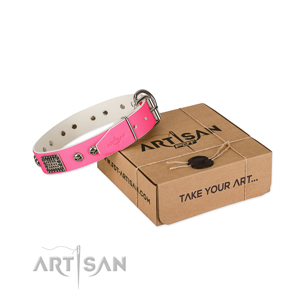 Rust-proof adornments on dog collar for handy use