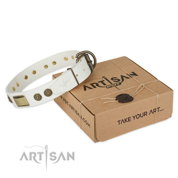 Corrosion resistant D-ring on full grain leather dog collar for everyday walking