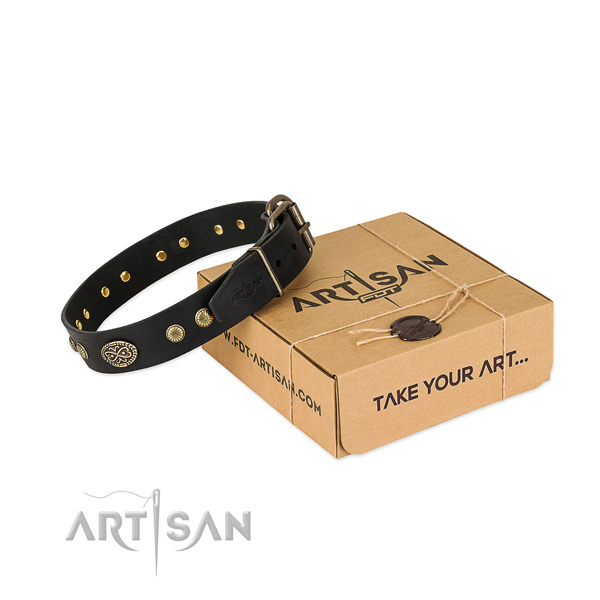 Corrosion resistant fittings on leather dog collar for your four-legged friend