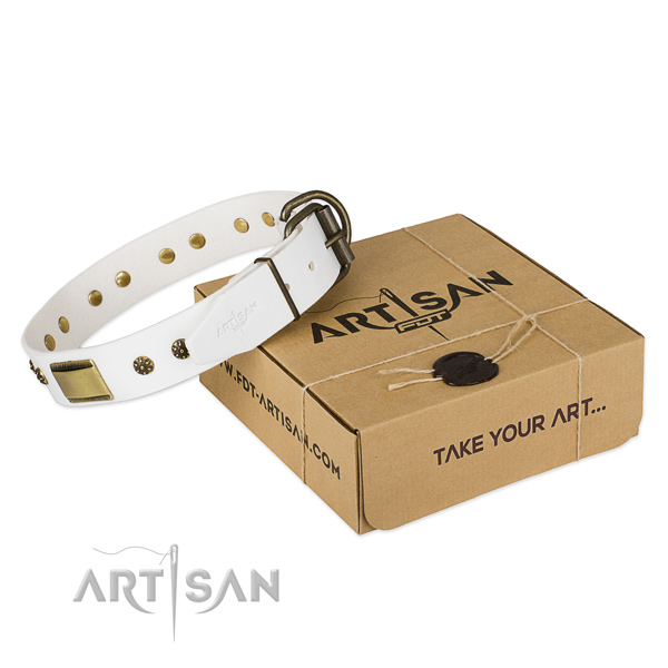 Impressive full grain leather collar for your handsome doggie