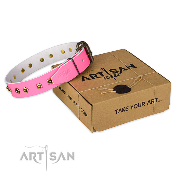 Strong buckle on full grain leather dog collar for walking
