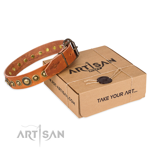 Durable genuine leather dog collar handmade for daily walking