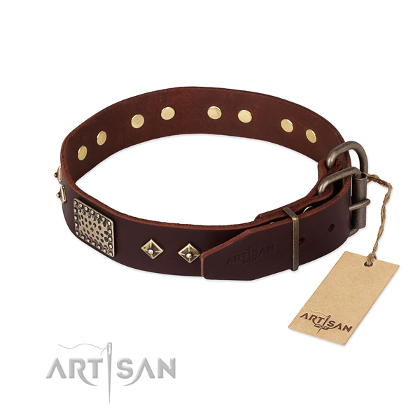 Genuine leather dog collar with rust resistant buckle and studs