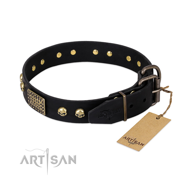 Reliable embellishments on daily walking dog collar