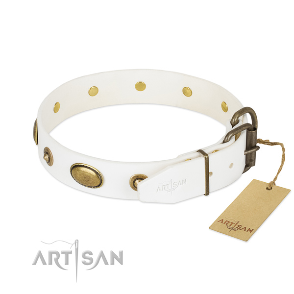 Rust resistant adornments on full grain natural leather dog collar for your dog