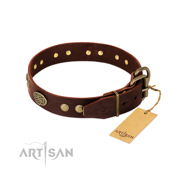 Strong embellishments on full grain leather dog collar for your canine