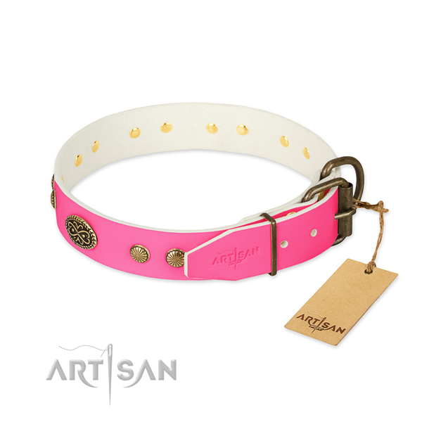Reliable decorations on full grain leather dog collar for your canine