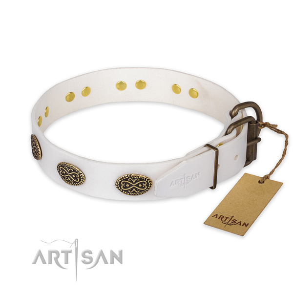 Reliable hardware on genuine leather collar for everyday walking your dog
