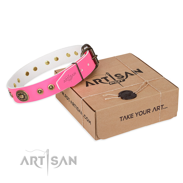 Full grain genuine leather dog collar made of reliable material with reliable hardware