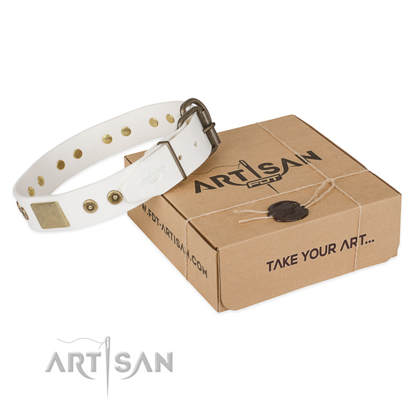 Exquisite genuine leather collar for your attractive pet