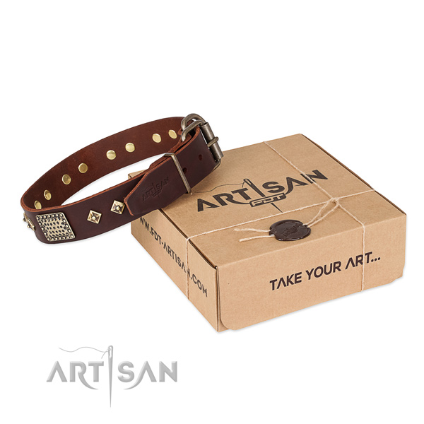 Easy adjustable genuine leather collar for your lovely pet