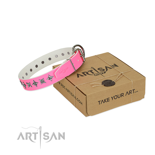 Top notch natural leather dog collar with exceptional adornments