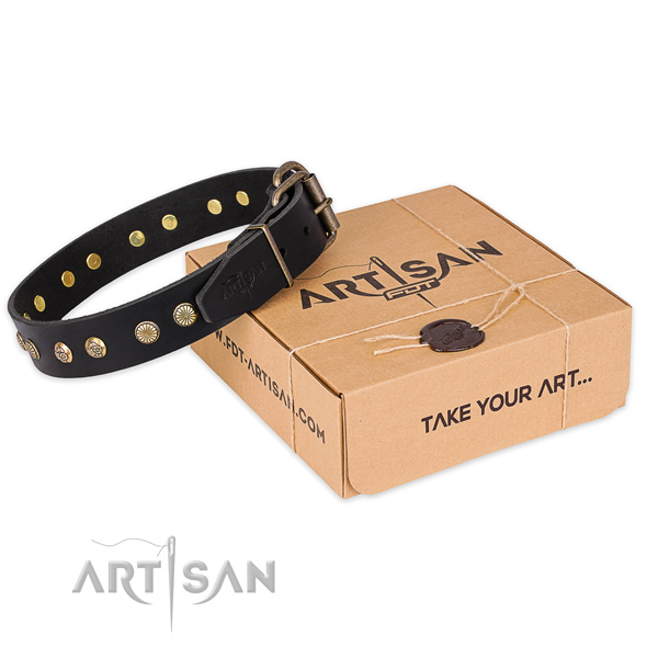 Reliable fittings on natural genuine leather collar for your impressive doggie