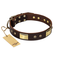 "Rich Fashion" FDT Artisan Decorated Leather German Shepherd Collar with Plates and Studs